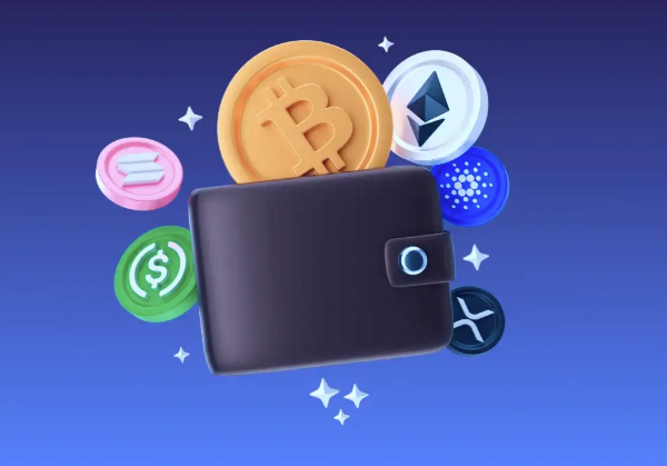 The Role of Crypto Wallets Explained