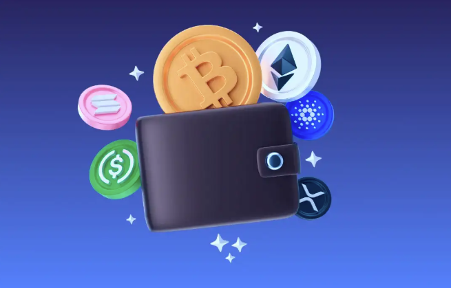 The Role of Crypto Wallets Explained