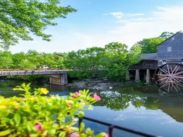 7 Best Budget Travel Deals for Kissimmee, FL in 2026