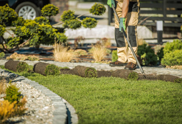 Reliable Lawn Installation Contractors for Stunning Outdoor Transformations