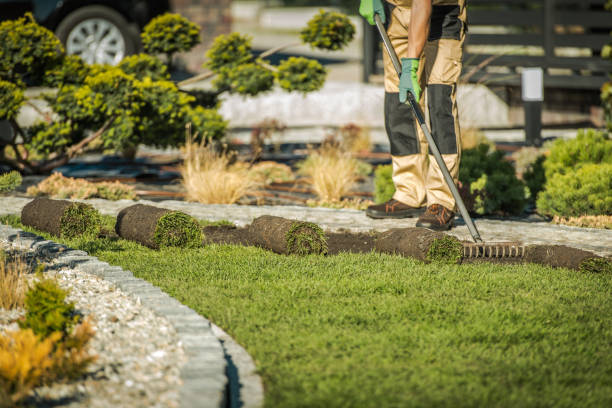 Reliable Lawn Installation Contractors for Stunning Outdoor Transformations